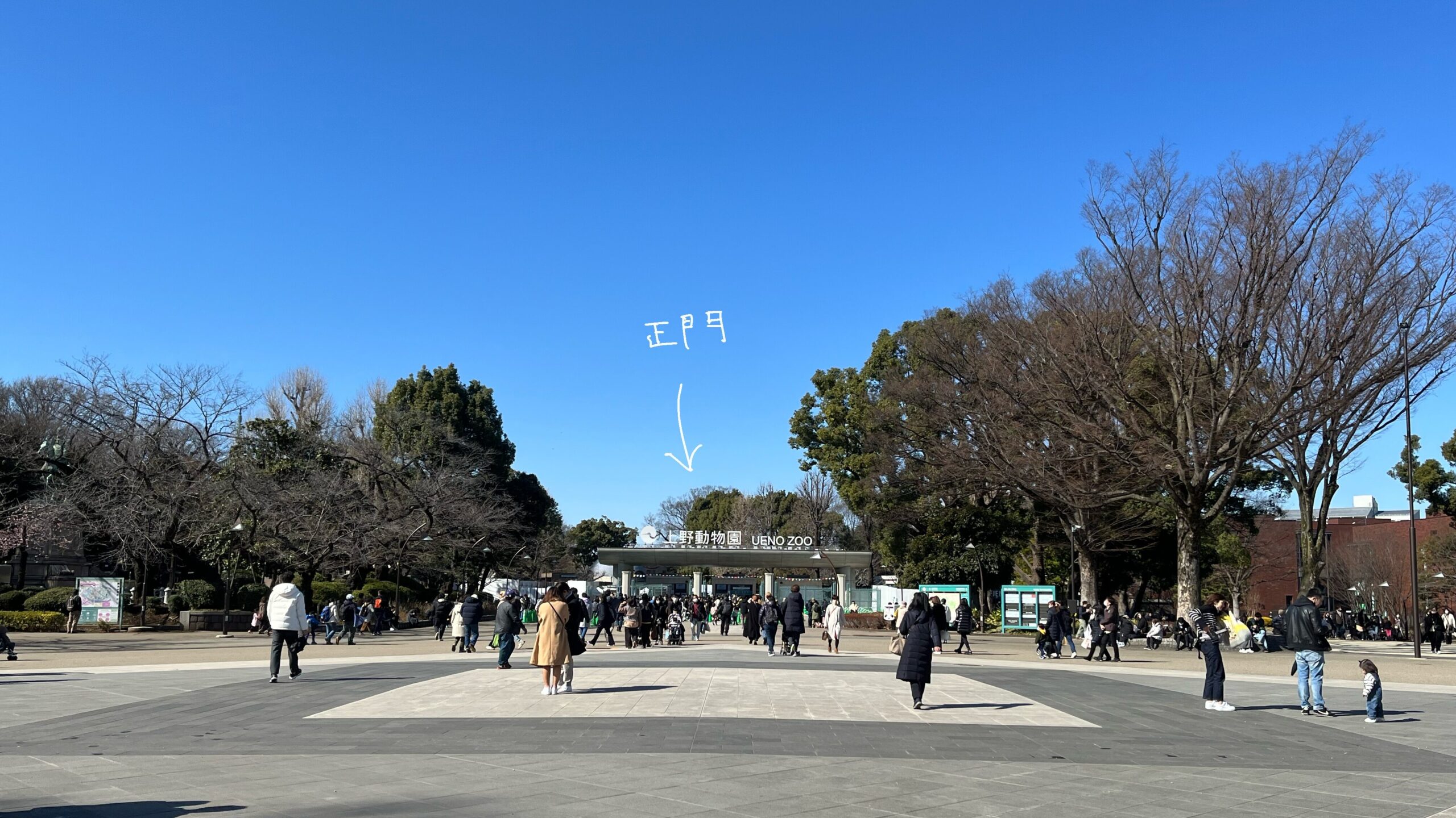東京の観光地上野動物園の正門